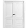 Sartodoors Sliding Closet Bypass Doors 56 x 96in, Sete 6933 Light Grey Oak W/ Frosted Glass, Sturdy Rails SETE6933DBD-OAK-5696